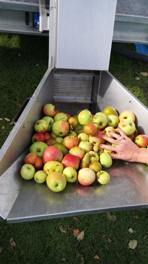Appels invoeren in sapmobiel