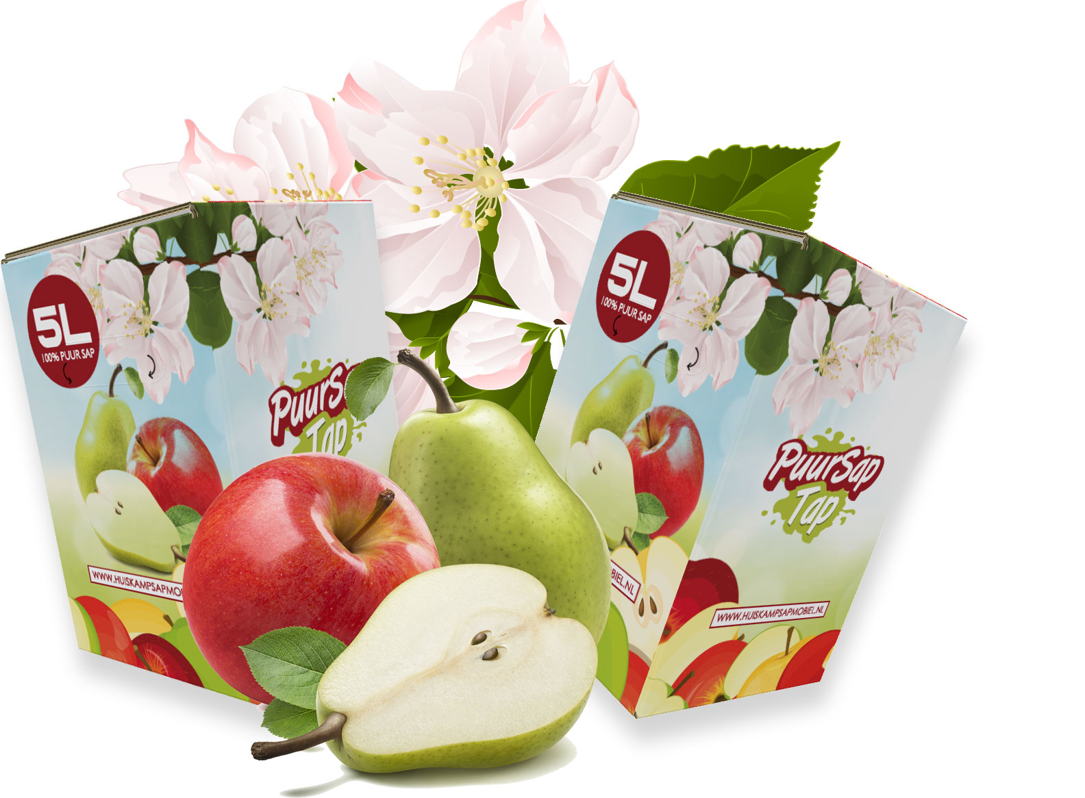 Huiskamp fruitsap pak